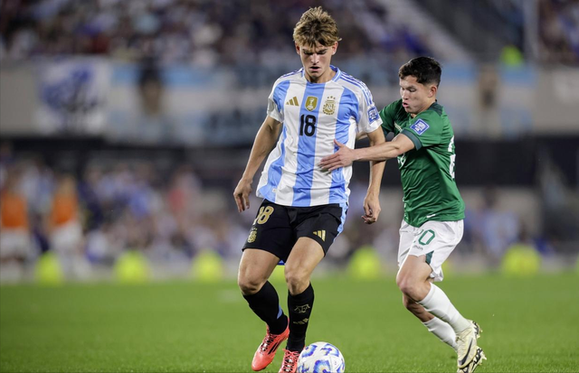 如何选购 如何选购